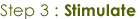 step3:stimulate