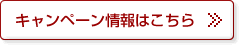 キャンペーン情報はこちら