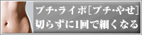�v�`���b�z��